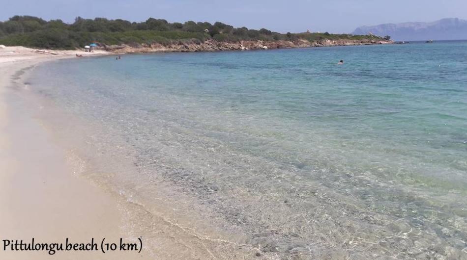 Marina Seaview Daire Olbia Dış mekan fotoğraf